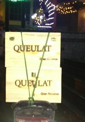 Ventisquero queulat-gran-reserva